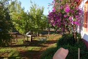  le jardin 